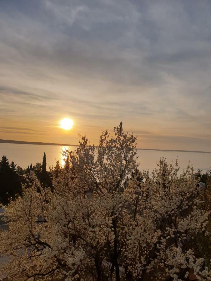 Goga Apartament *