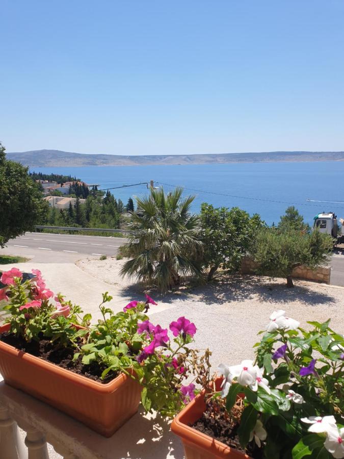 Goga * Starigrad Paklenica